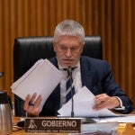 El ministro de Interior, Fernando Grande-Marlaska