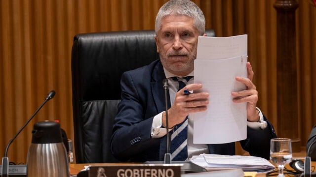 Marlaska comparece en la comisión de Interior del Congreso. David Jar