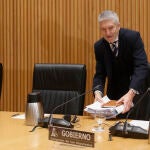 Comparecencia en el Congreso del ministro del Interior, Fernando Grande-Marlaska