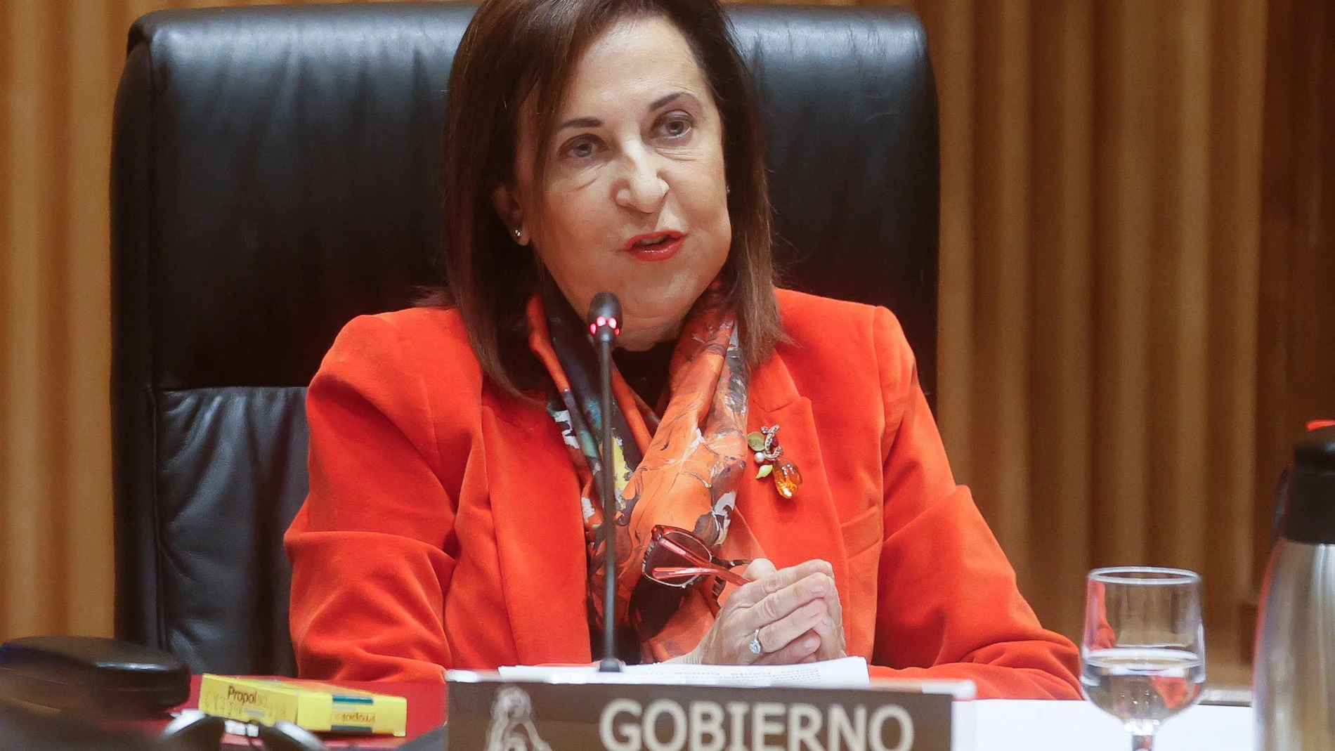 MADRID, 25/01/2024.- La ministra de Defensa, Margarita Robles, comparece en la sesión extraordinaria de la Comisión de Defensa para informar sobre las líneas generales de la política de su departamento y sobre las operaciones en el exterior. EFE/ Fernando Alvarado