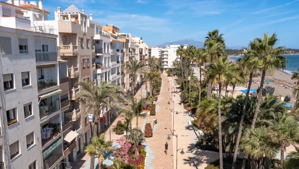 La vegetación es la protagonista del paseo a orillas del mar