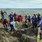 Tres nuevos árboles se unen al ‘Bosque de las almas’ del alto de Mostelares