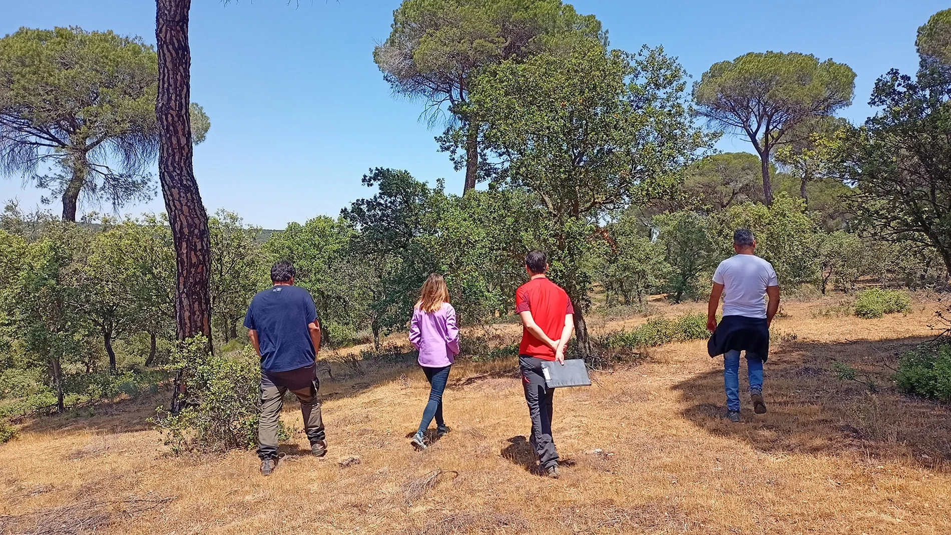 Técnicos de Cesefor en un bosque en las inmediaciones de Toro (Zamora)