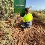 El incremento de jabalíes en Cabo de Gata y La Cañada (Almería) obliga a contratar un servicio para su captura y control