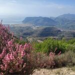La ruta de 53 kilómetros por la montaña que recorre todas las fortalezas de Cartagena