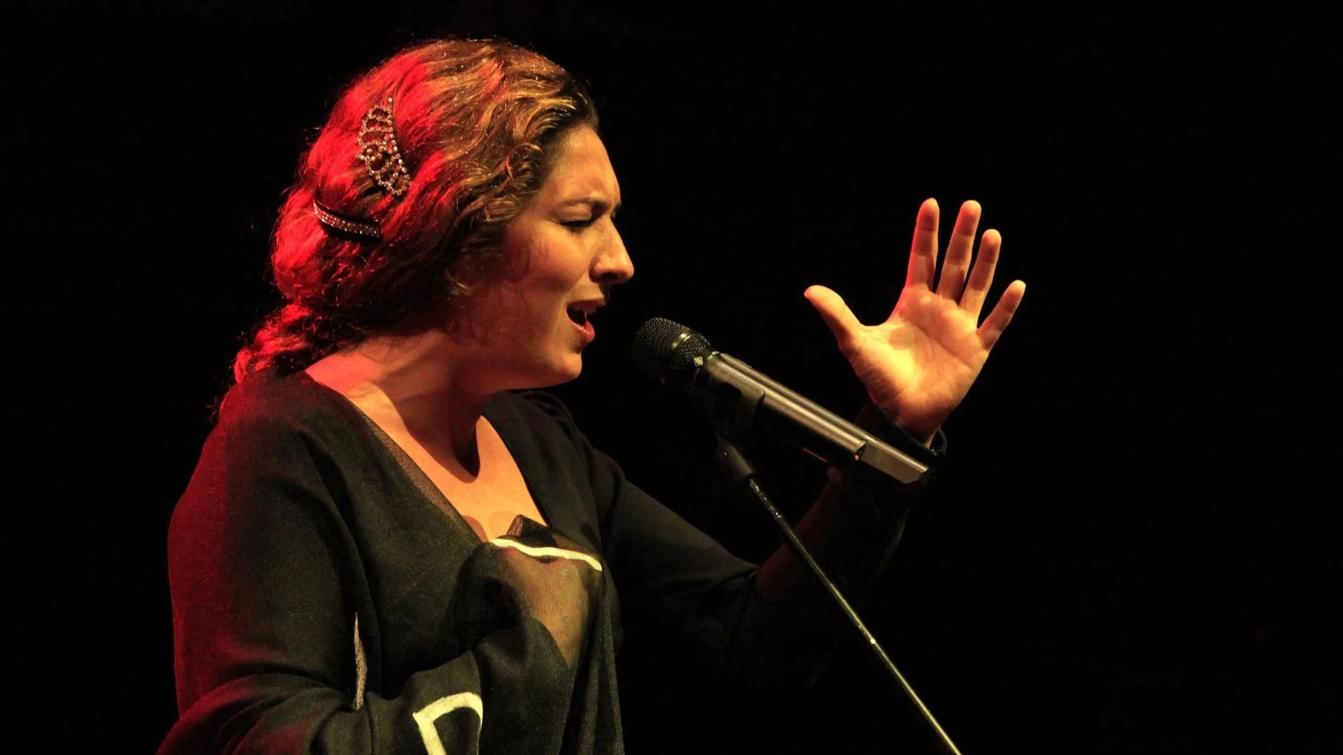 Comunidad de Madrid declarará este miércoles el flamenco BIC por su arraigo histórico en la región
