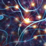 Una posible forma de reparar las neuronas de personas con Alzheimer