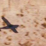 La huella que Marruecos dejó en el célebre escritor y piloto se plasma en la nueva fragancia de Guerlain