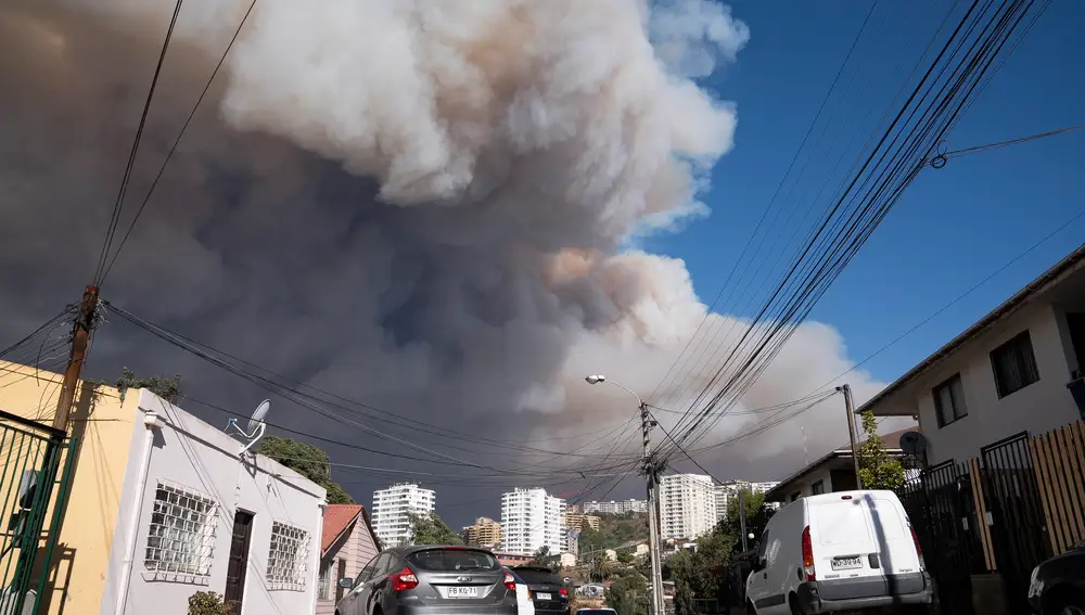 Alerta en Viña del Mar por incendio forestal
