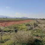 Vía pecuaria de la zona de Torre Pacheco