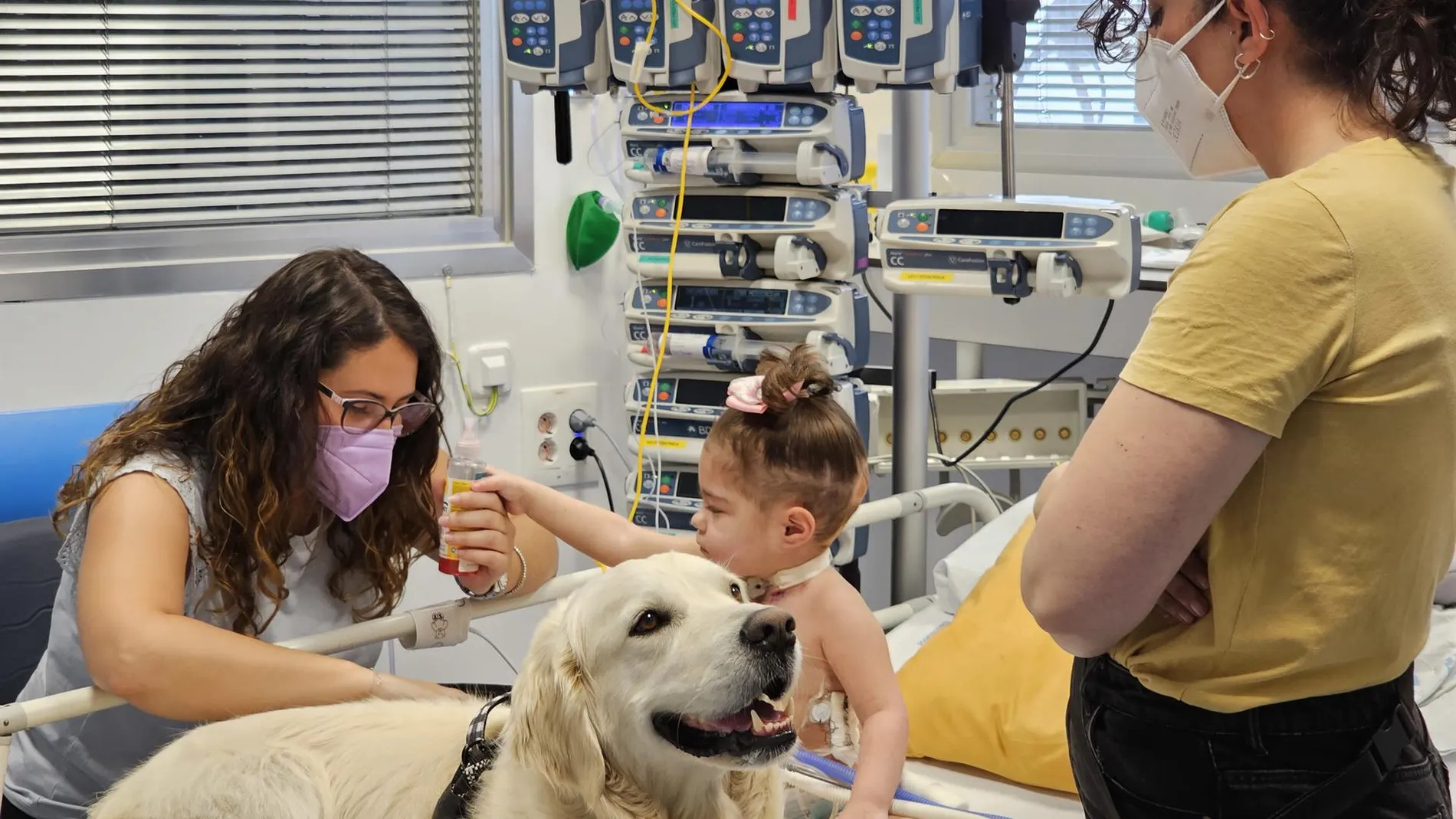 MADRID.-Un estudio confirma que las intervenciones con perros reducen el dolor y la ansiedad en niños ingresados