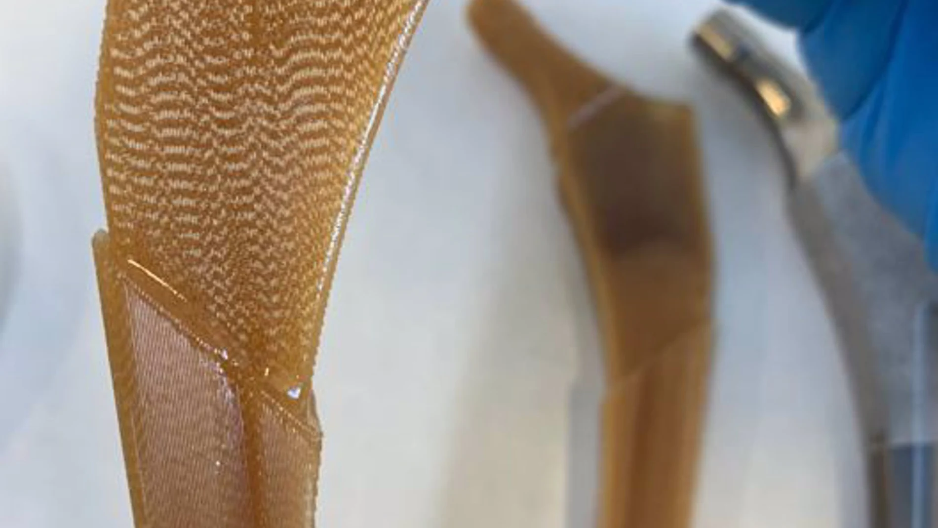 Diseñan un biomaterial hecho con residuos de remolacha para regenerar huesos