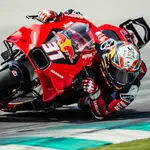 Pedro Acosta debuta esta temporada en MotoGP