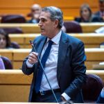 El senador del PP, Juan José Sanz Vitorio, interviene en la Cámara Alta