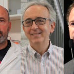 David Martínez, Antonio Zorzano y Jeffrey Lazarus