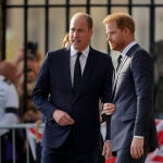 Britain Royals William and Harry