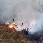 Bomberos trabajando en labores de extinción d