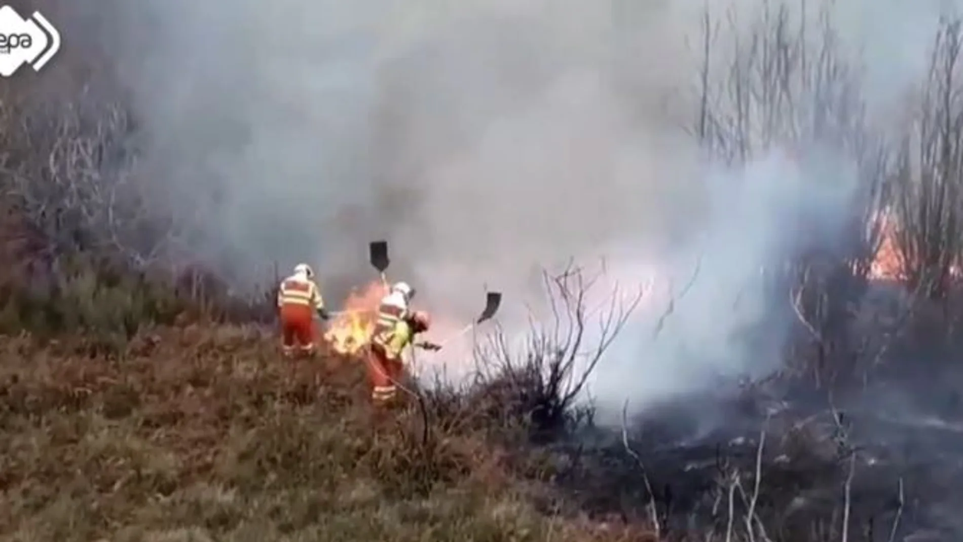 Bomberos trabajando en labores de extinción d