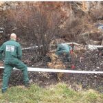 Agentes del Seprona, sobre el terreno