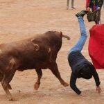 Un toro voltea a un mozo en la capea posterior al encierro