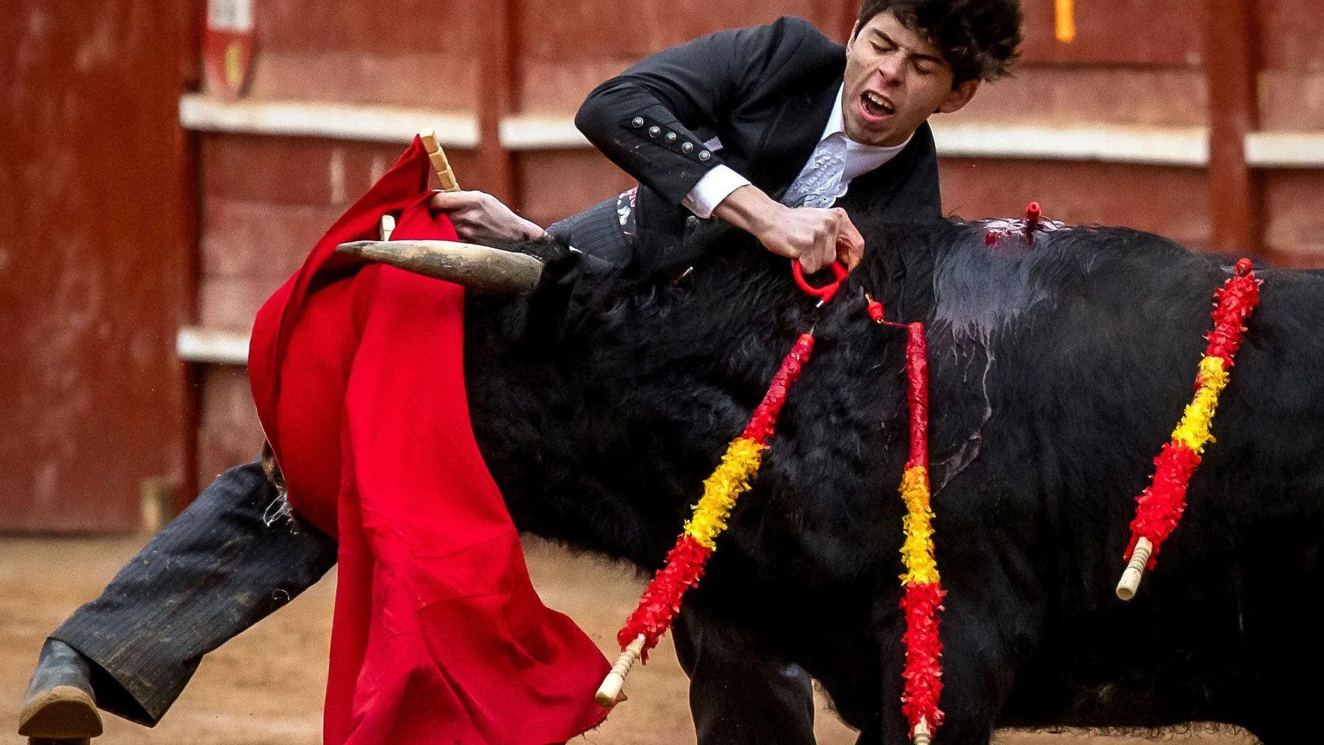 Momento de la cogida al novillero Julio Méndez en Ciudad Rodrigo