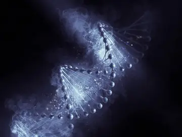 El programa se apoya en el uso intensivo de datos genómicos. genoma humano oscuro ADN