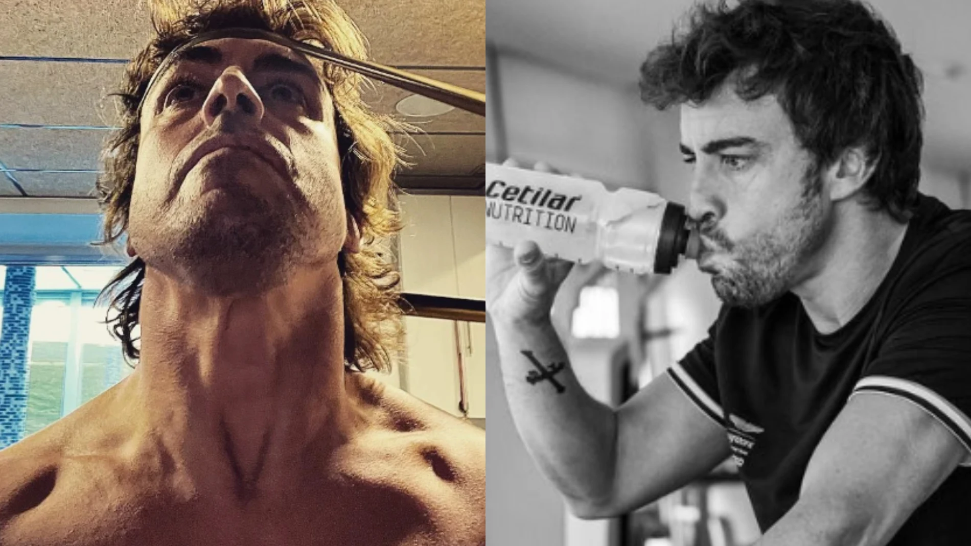 Fernando Alonso