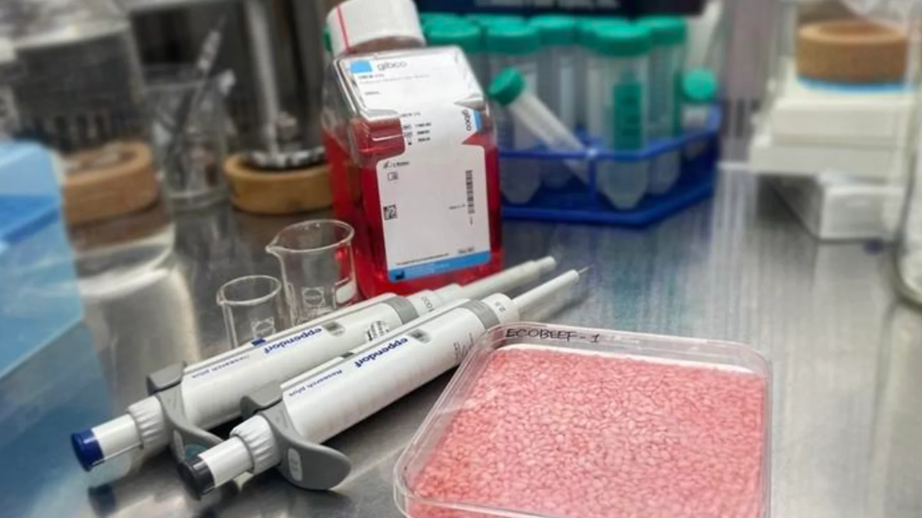 Biotecnología
