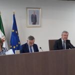 Pleno del Ayuntamiento de Estepona