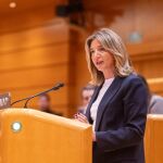 La portavoz del PP en el Senado, Alicia García
