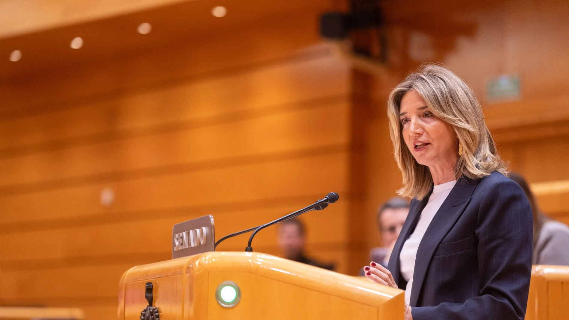 La portavoz del PP en el Senado, Alicia García