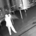 Momento en el que la persona que ha asaltado la bodega Cepa 21 abre los grifos de los depósitos de viino