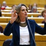 MADRID, 20/02/2024.- La vicepresidenta tercera y ministra para la Transición Ecológica y el Reto Demográfico, Teresa Ribera interviene en la sesión de control al Gobierno celebrada este martes por el pleno del Senado, en Madrid. EFE/ Kiko Huesca
