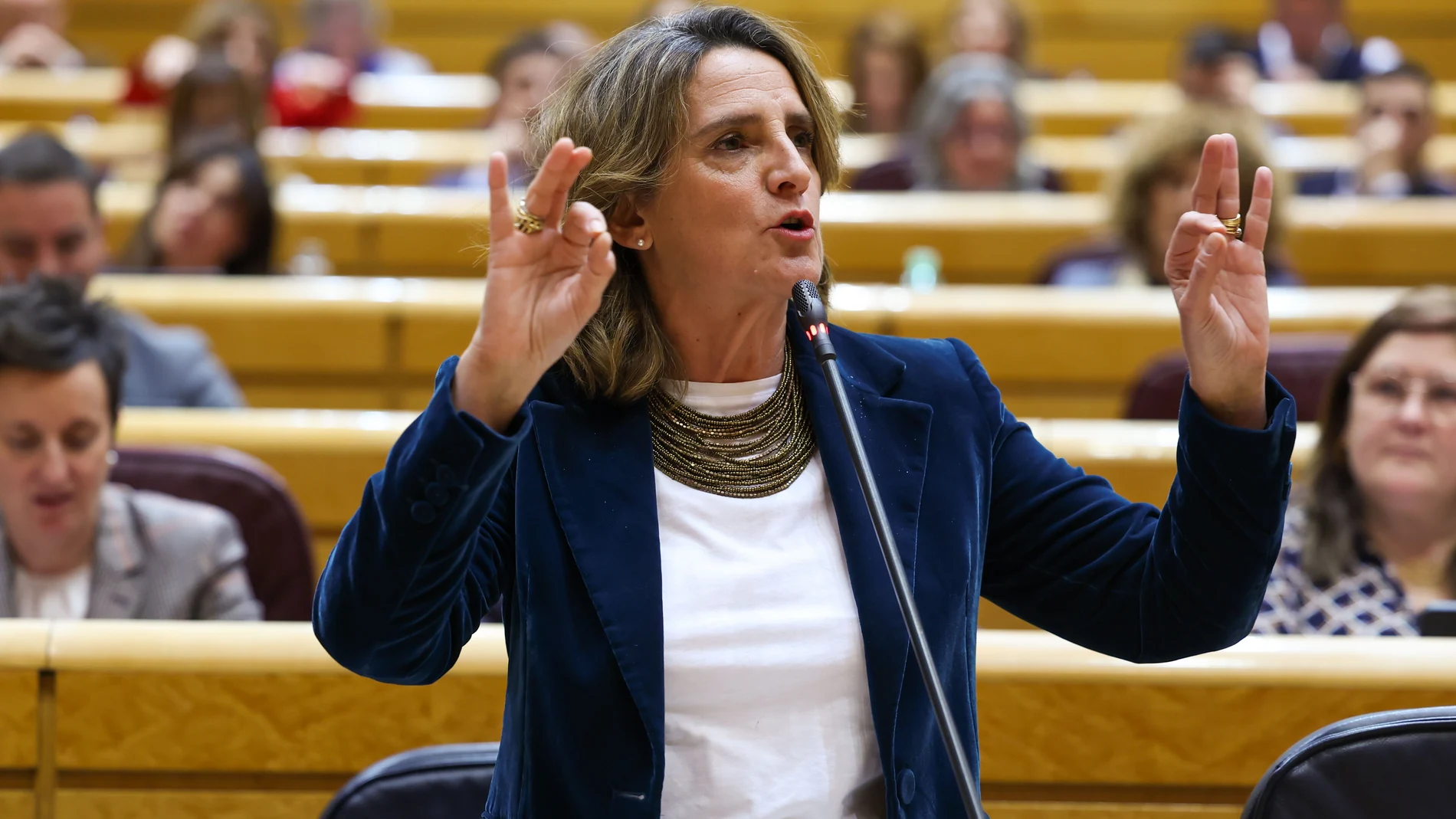 MADRID, 20/02/2024.- La vicepresidenta tercera y ministra para la Transición Ecológica y el Reto Demográfico, Teresa Ribera interviene en la sesión de control al Gobierno celebrada este martes por el pleno del Senado, en Madrid. EFE/ Kiko Huesca