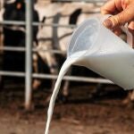La leche cruda es la que se acaba de ordeña y que el ganadero vende directamente al consumidor