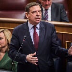 El ministro de agricultura , Luis Planas, sufre un mareo durante la sesión del control al gobierno en el pleno