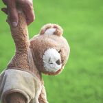 Imagen de un oso de peluche Imagen de un oso de peluche