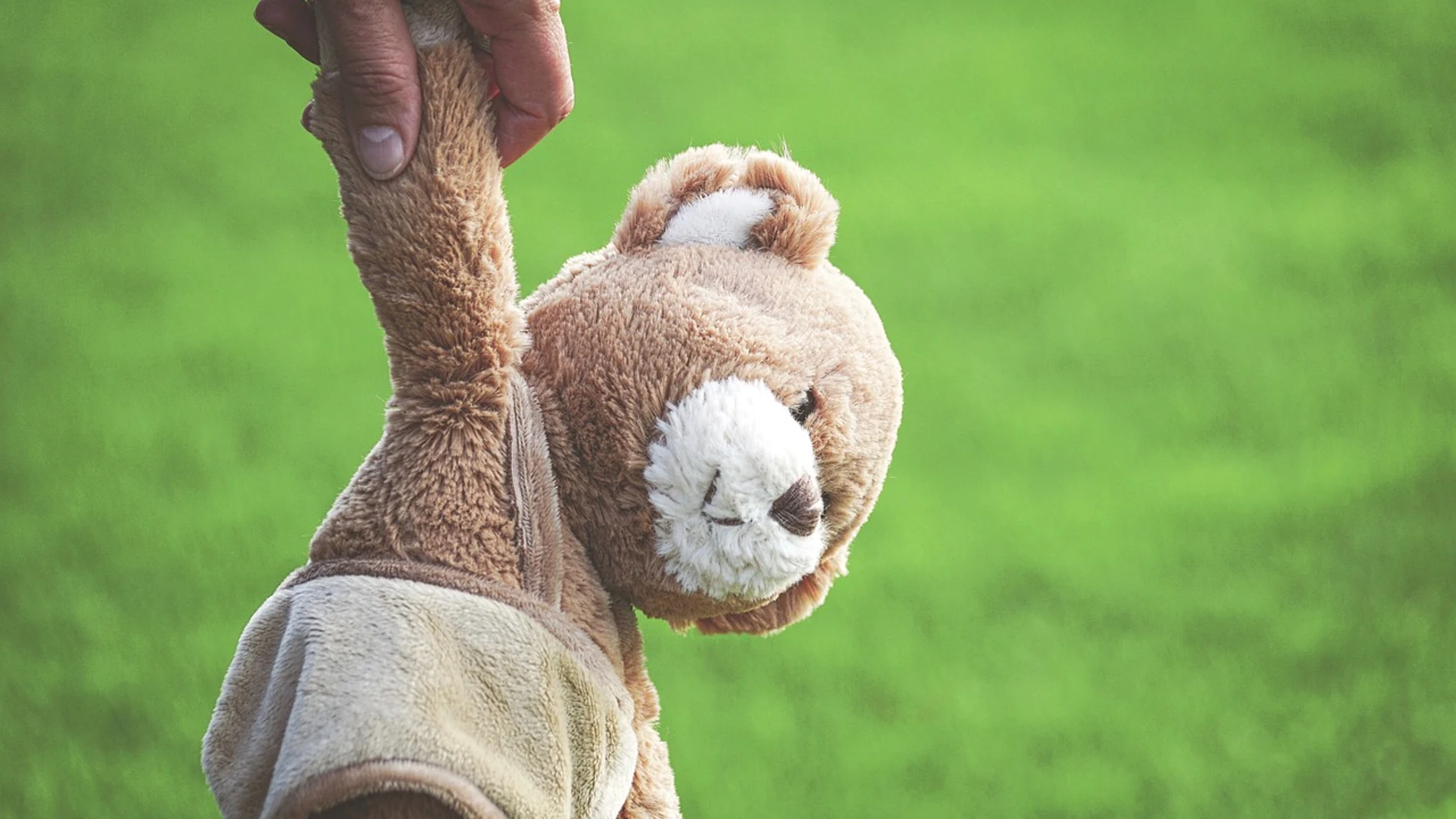 Imagen de un oso de peluche