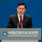 China Former Foreign Minister