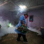 InternacionalCategorias.-Perú.- El Gobierno de Perú decreta la emergencia sanitaria por dengue en 20 regiones