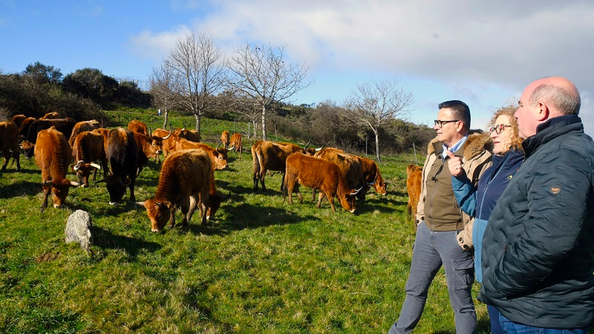 El conselleiro, esta mañana, en una explotación de vacuno de carne.