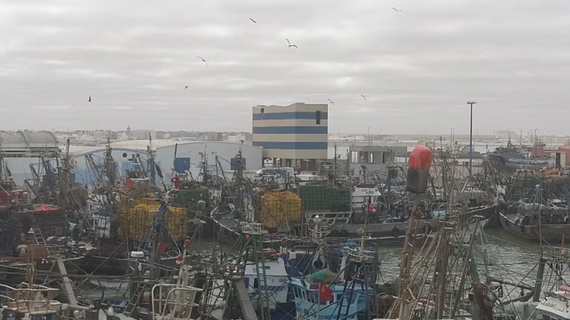 El puerto de El Aaioún, en el Sáhara,