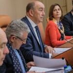 Miguel Ángel de Vicente preside el Pleno de la Diputación de Segovia