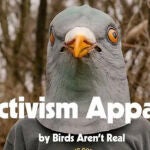 La teoría viral de una estrella de la NFL para explicar que los pájaros no son reales 