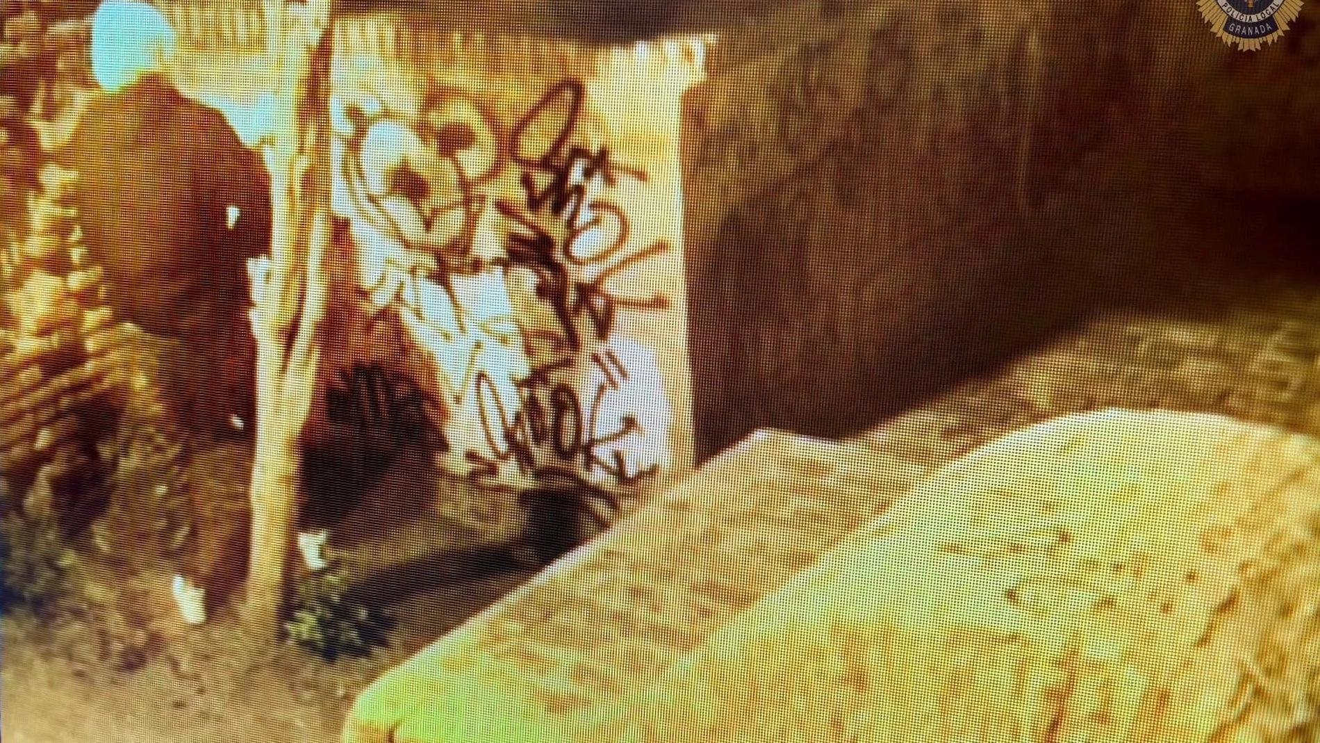Pintadas en el Aljibe del Zenete PERFIL DE LA POLICÍA LOCAL EN LA 01/03/2024