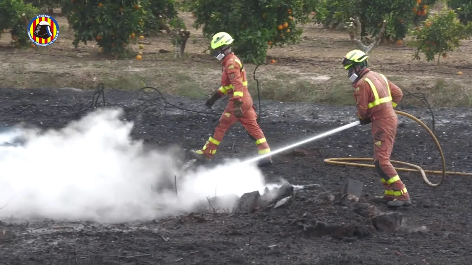 Incendio forestal en Alzira (Valencia)
