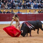 Último festejo taurino de la Feria de Olivenza