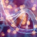 Científicos demuestran que la personalidad modifica la expresión de los genes