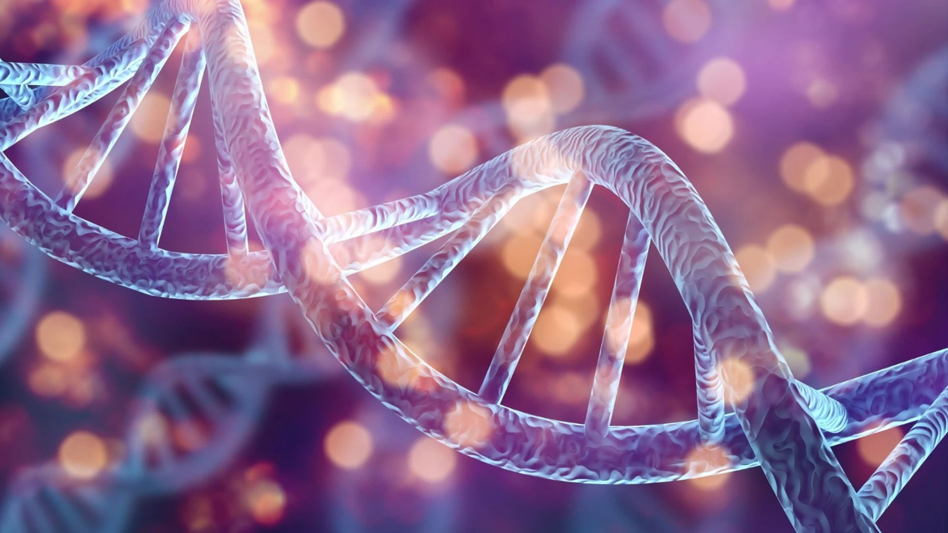 Científicos demuestran que la personalidad modifica la expresión de los genesUGR04/03/2024