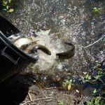 MADRID.-El domingo comienza la temporada general de pesca de trucha en la región